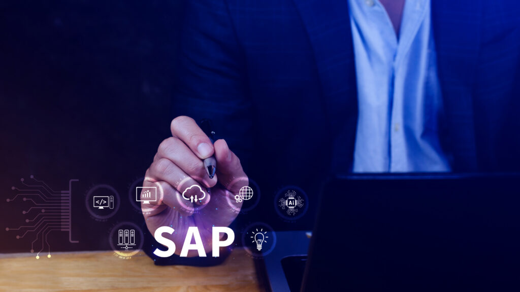 Understanding TCO (Total Cost of Ownership) for SAP Business One - PANFISH